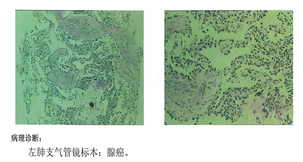 图片-3.jpg