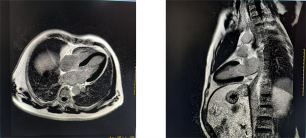 ScreenShot_2026-02-05_154819_280.jpg ScreenShot_2026-02-05_154819_280.jpg