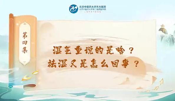 第四集  湿气重说的是啥？祛湿又是怎么回事？