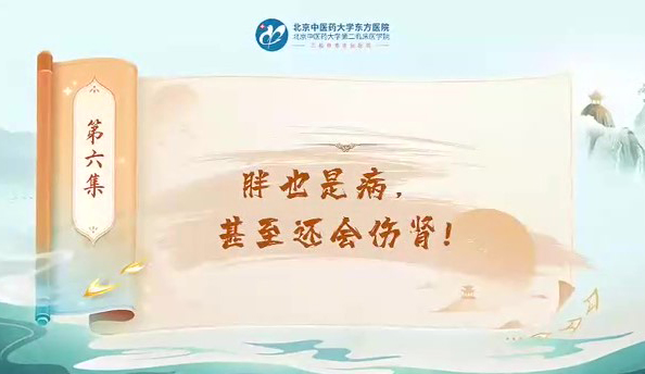 第六集 胖也是病甚至还会伤肾