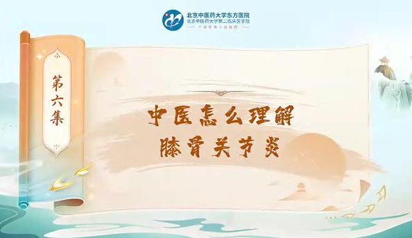 第六集 中医怎么理解关节炎